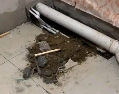 独山子卫生间漏水检测哪家好